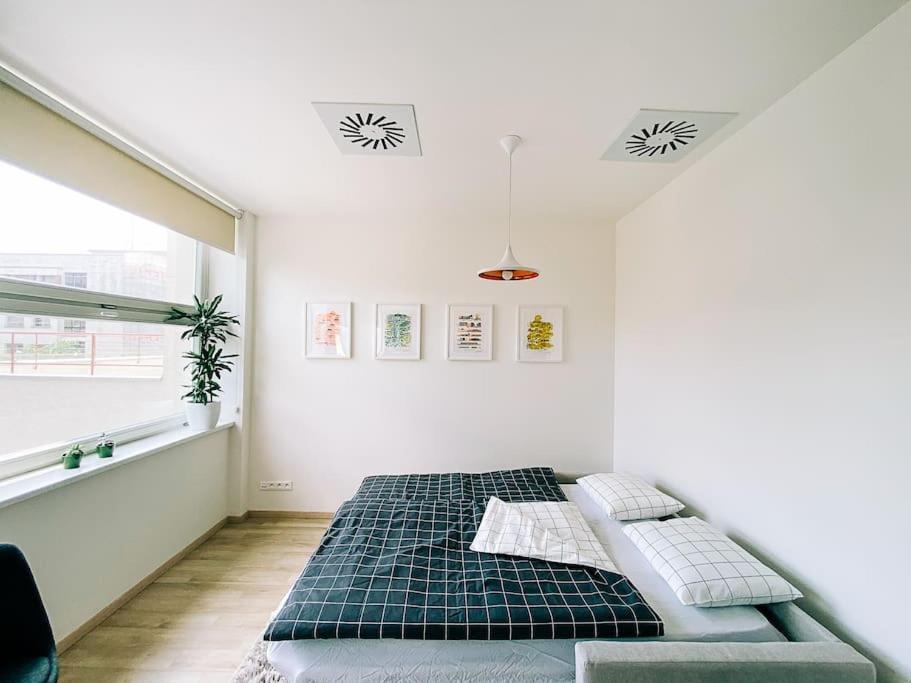 New In Quiet Part Of The Center * Pressburg